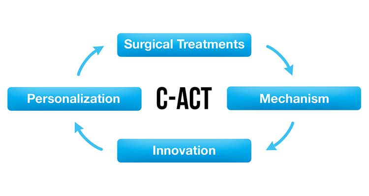 C-ACT graphic